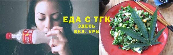 тгк Новозыбков