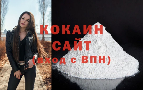 тгк Новозыбков
