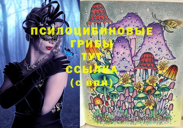 сатива Долгопрудный