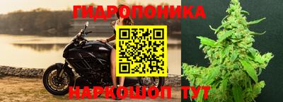 прущая мука Будённовск