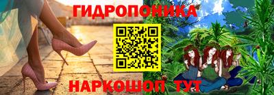твердый Кингисепп