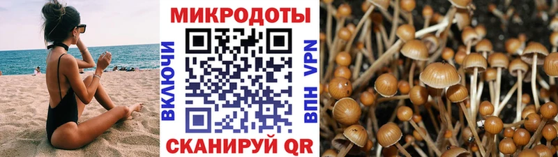 Галлюциногенные грибы ЛСД  MEGA ссылки  Крымск  сколько стоит 