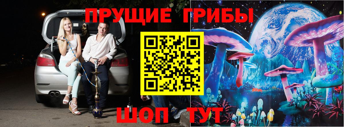 Псилоцибиновые грибы Cubensis Крымск